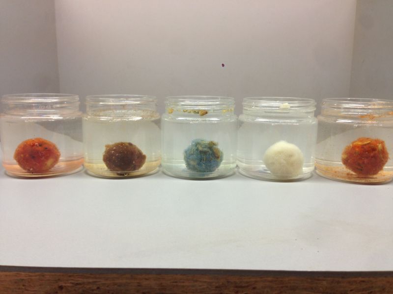 Powerslime Baitservice Austria-Red Mamba